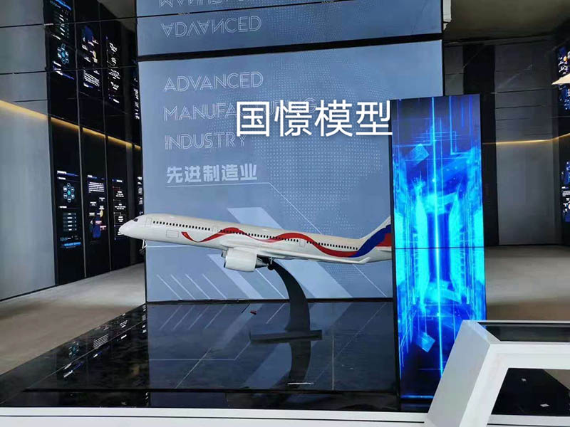 江安县飞机模型