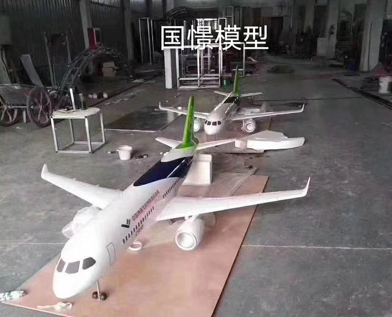 江安县飞机模型